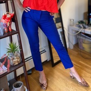 Unused Express bright blue columnist ankle midrise pants